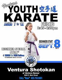 Image result for Excalibur Shotokan Karate Club