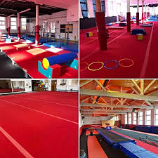 Image result for Crewe & Nantwich Gymnastics Club