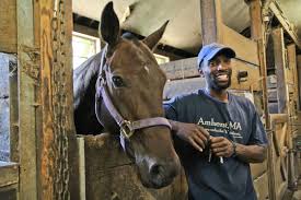 Image result for Shey Copse Riding Centre