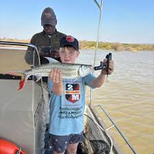 Image result for Polysteganus undulosus