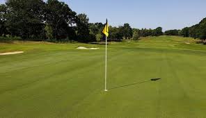 Image result for Brokenhurst Manor Golf Club
