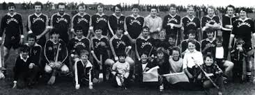 Image result for Causeway Hurling Club