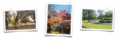 Image result for Blyth Ridley Bowls Club