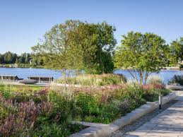 Image result for Ulf Nordfjell