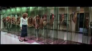 Resultado de imagen para sliced horse