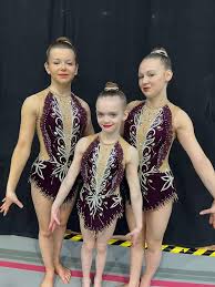 Image result for Spelthorne School Of Gymnastics