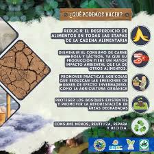 「parque los chor」の画像検索結果