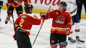 Image result for Poole Hockey Club