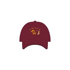 Image result for Llantwit Major Cavaliers Cricket Club