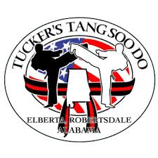 Image result for Alness Tang Soo Do