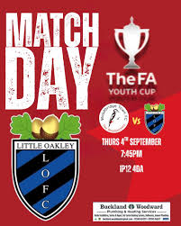 Image result for Ockley Acorns Junior F C