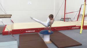 Image result for Newport Gymnastics Club
