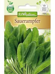 Image result for Sauerampfer