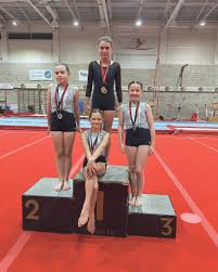 Image result for Buckingham Gymnastics Club