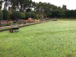 Image result for Gilt Edge Bowling Club