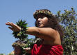 Hula - Wikipedia, the free encyclopedia