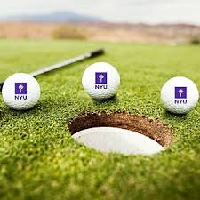 Image result for York University Golf Club