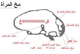 انو احسن مخ بينهم Images?q=tbn:ANd9GcSaYBM02Jzksxa6NjnGZfuongiB-pNXudPXQtZxyd3tOO3GoVTTiQ