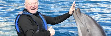 Image result for Adventure Dolphin