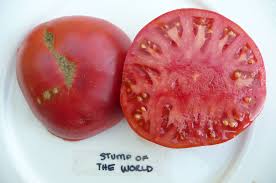 Afbeeldingsresultaat voor grubbs mystery green tomato