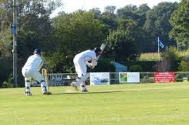 Image result for Alton Cricket Club