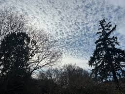 Attēlu rezultāti vaicājumam “altocumulus”