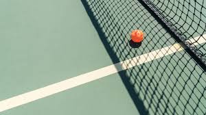 Image result for Appledore Badminton Club