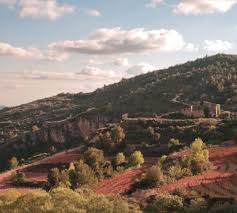 Image result for geografs sense fronteres