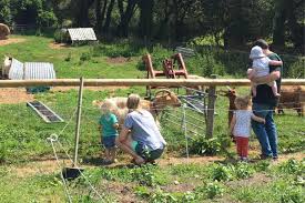 Image result for Kiddy Kapers