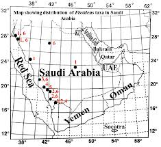 Attēlu rezultāti vaicājumam “Fissidens arnoldii”