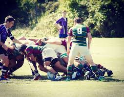 Image result for Wimbledon Rugby Football Club