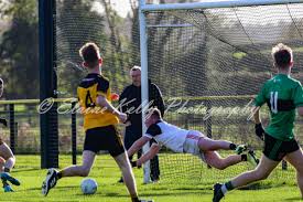 Image result for Patrick Sarsfield Gaelic Athletic Club