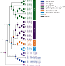 Attēlu rezultāti vaicājumam “Gynaephora selenitica larva”
