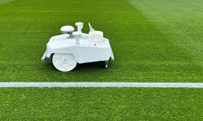 Image result for Pitch marking blog