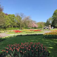 Image result for Tameside Area