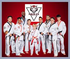 Image result for ATA Martial Arts Mobile