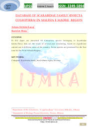 Attēlu rezultāti vaicājumam “Hoplia parvula imago”