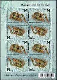 Attēlu rezultāti vaicājumam “Astacus leptodactylus”