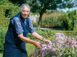 Image result for Mien Ruys