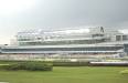 Malayan Racing Association | Horse, Races, Trainers, Jockeys