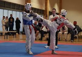 Image result for Red Dragon Taekwondo club