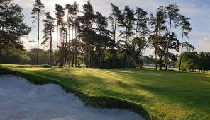 Image result for Brokenhurst Manor Golf Club