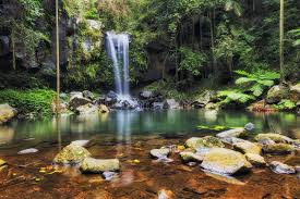 「Mt. Tamborine」的圖片搜尋結果