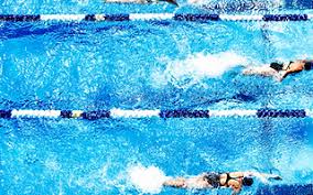 Image result for Sedgefield 75 Swimming Club