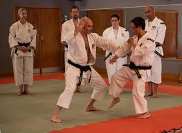 Image result for Bournemouth Shorinji Kempo Club