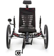 Attēlu rezultāti vaicājumam “Triplax aenea”