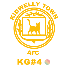 Image result for Kidwelly Rugby Football Club