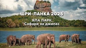 Image result for Яла заповедник