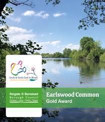 Image result for Reigate Priory Bowmen