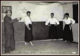 Image result for Ellis Schools of Traditional Aikido